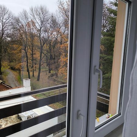 Guest House Major Arandjelovac Exteriör bild